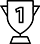 ricca esperienza